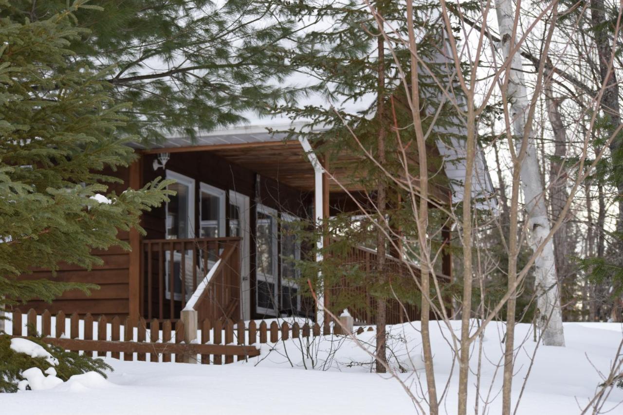 Parkway Cottage Resort And Trading Post Dwight Exterior photo