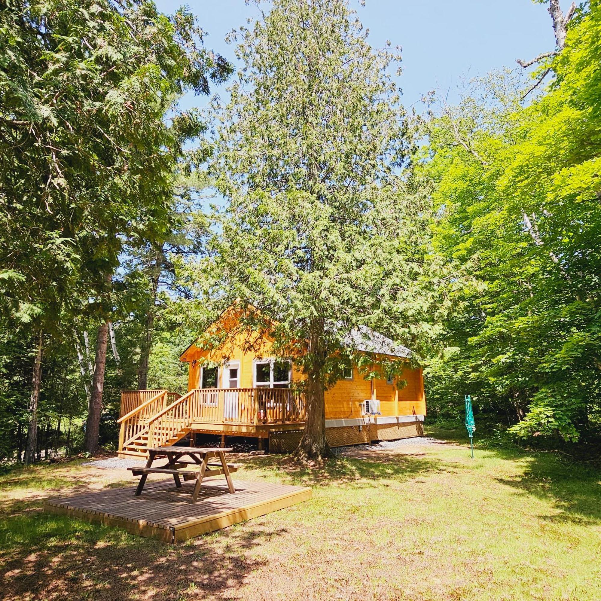 Parkway Cottage Resort And Trading Post Dwight Exterior photo
